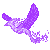 Purple Phoenix